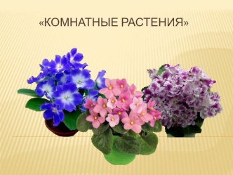 Презентация для детей Комнатные растения.