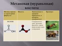 Презентация по органической химии Мир кислот