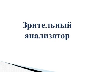 Презентация по биологии на тему Зрительный анализатор (8 класс)