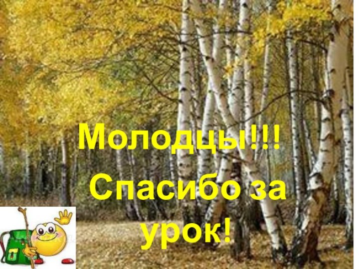 Молодцы!!! Спасибо за урок!