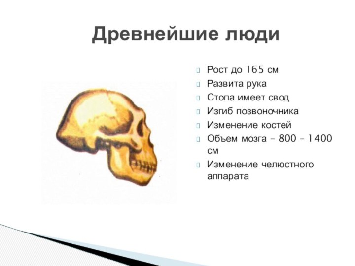 Древнейшие люди Рост до 165 смРазвита рукаСтопа имеет сводИзгиб позвоночникаИзменение костейОбъем