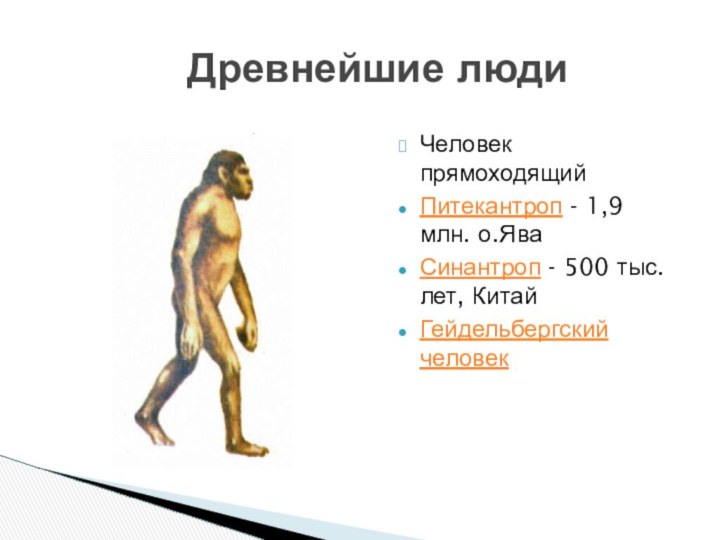 Древнейшие людиЧеловек прямоходящийПитекантроп - 1,9 млн. о.ЯваСинантроп - 500 тыс. лет, Китай Гейдельбергский человек