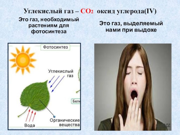 Углекислый газ – CO2 оксид углерода(IV)  Это газ, необходимый растениям для