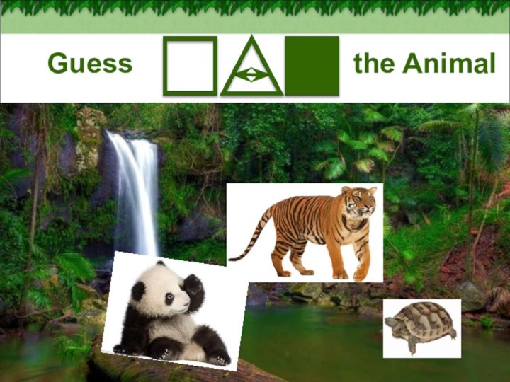 Guess       the Animal