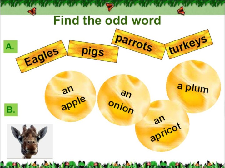 А.B.an apple a plum an apricot an onion Eagles pigs parrots turkeys Find the odd word
