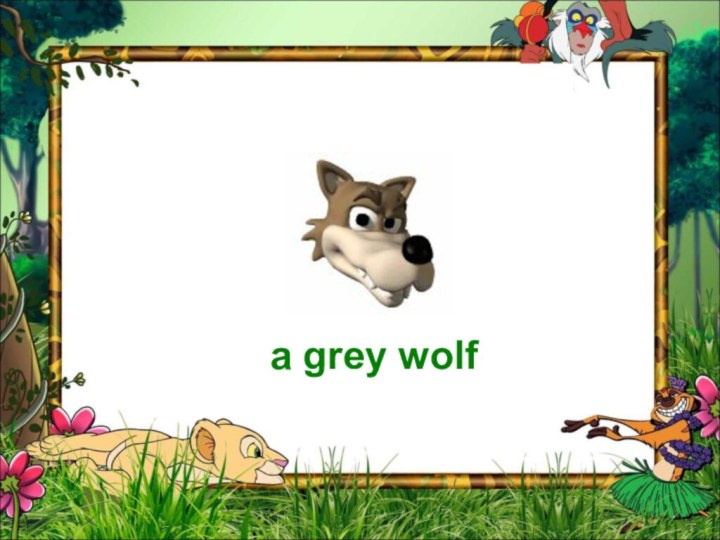 wolfGuess the animala grey wolf