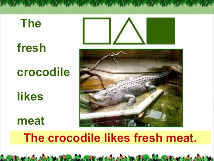 ThefreshcrocodilelikesmeatThe crocodile likes fresh meat.