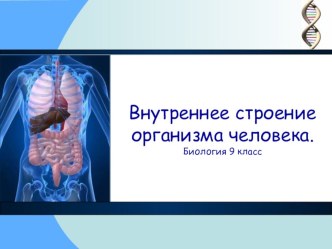 Презентация Внутреннее строение организма человека. Биология 9 класс