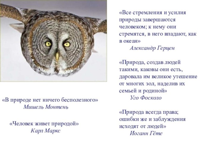 «Все стремления и усилия природы завершаются человеком; к нему они стремятся, в