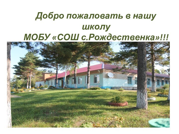 Добро пожаловать в нашу школу МОБУ «СОШ с.Рождественка»!!!