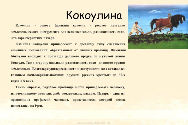 КокоулинаКокоулин - основа фамилии кокоуля - русское название земледельческого инструмента для вспашки