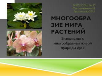 Многообразие мира растений