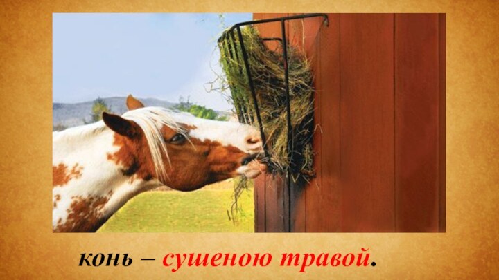 конь – сушеною травой.