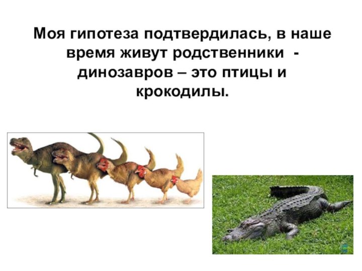 Моя гипотеза подтвердилась, в наше время живут родственники - динозавров – это птицы и крокодилы.
