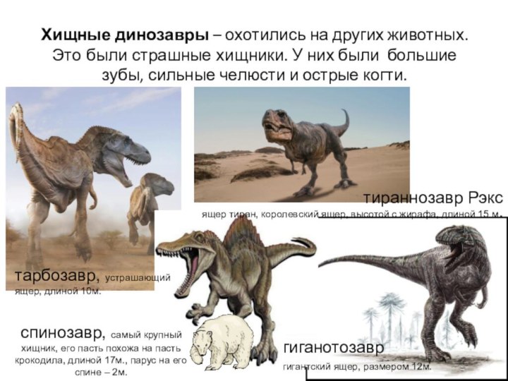 гиганотозавргигантский ящер, размером 12м.спинозавр, самый крупный хищник, его пасть похожа на