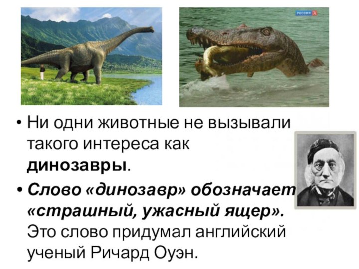 Ни одни животные не вызывали такого интереса как динозавры. Слово «динозавр» обозначает