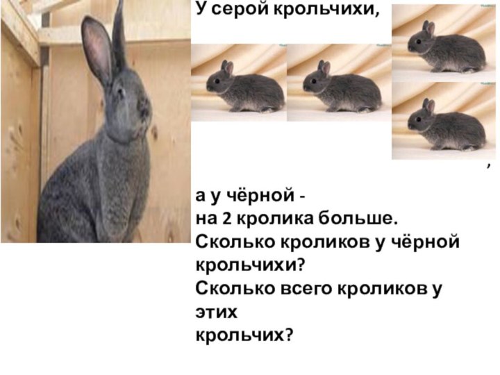 У серой крольчихи, а у чёрной - на 2 кролика больше.Сколько