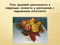 Роль трудовой деятельности в коррекции личности у школьников с нарушением интеллекта