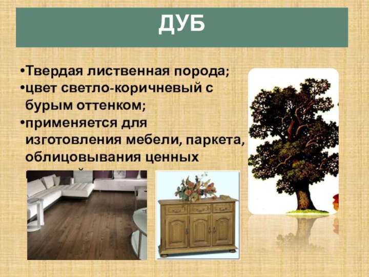 Твердая лиственная порода; цвет светло-коричневый с бурым оттенком; применяется для изготовления мебели, паркета, облицовывания ценных изделий.ДУБ