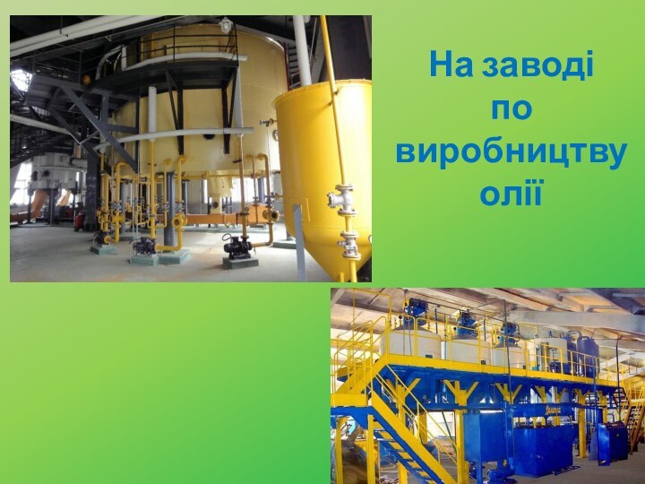 На заводі по виробництву олії