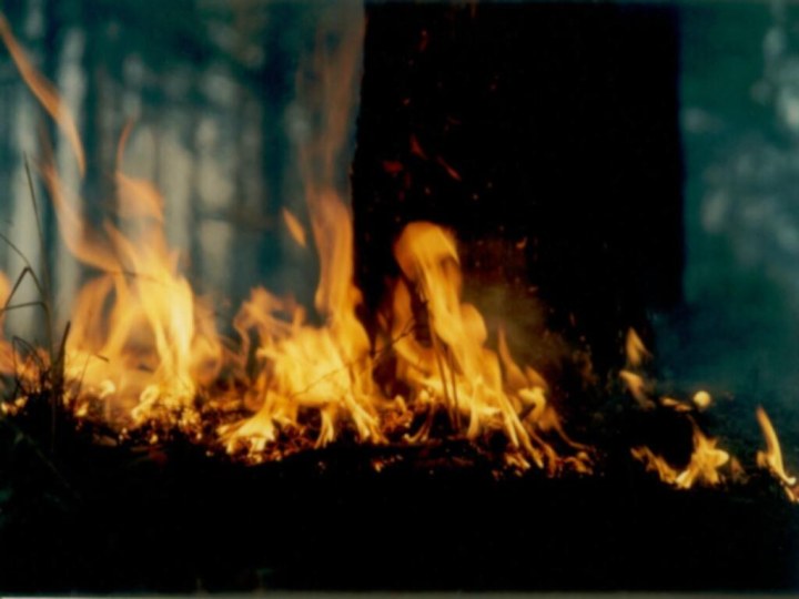 По скорости распространения огня (продвижения кромки пожара) и высоте пламени лесные пожары