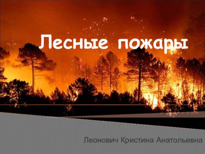 Лесные пожарыЛеонович Кристина Анатольевна