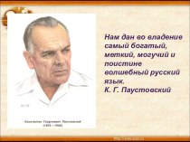 Презентация по русскому языку Относительные имена прилагательные