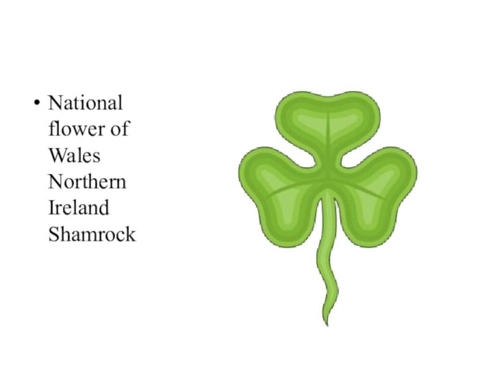 National flower of Wales Northern Ireland Shamrock