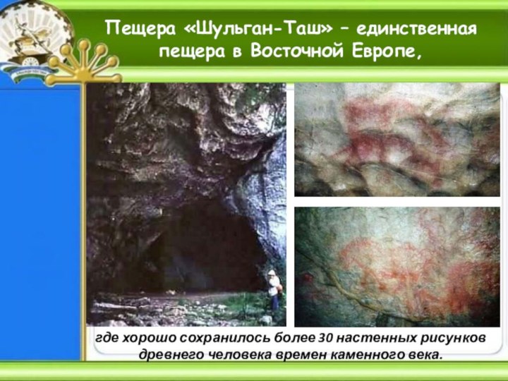 Пещера «Шульган-Таш» – единственная пещера в Восточной Европе,где хорошо сохранилось более 30