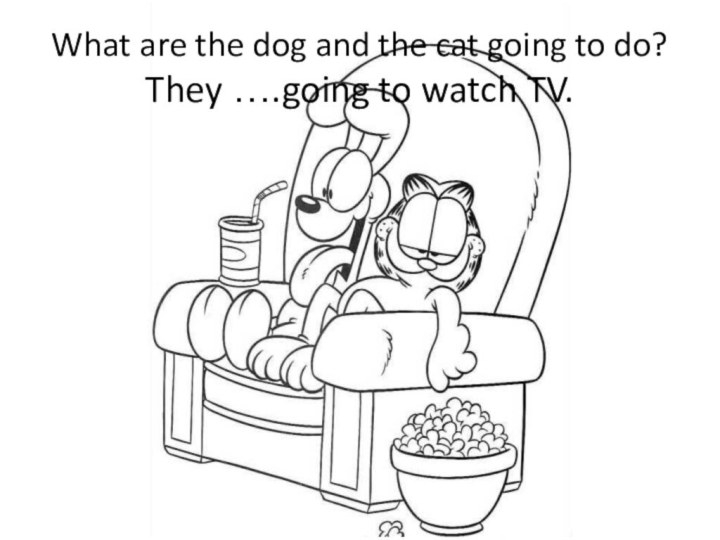 What are the dog and the cat going to do? They ….going to watch TV.