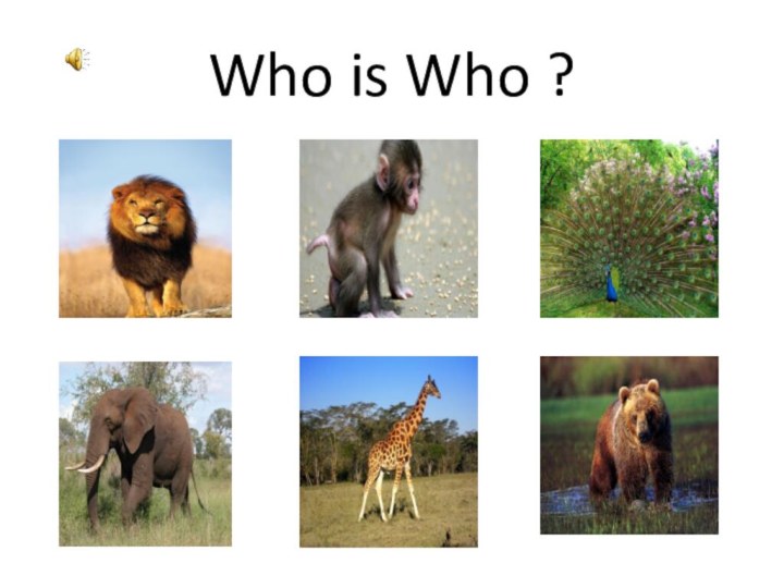 Who is Who ?