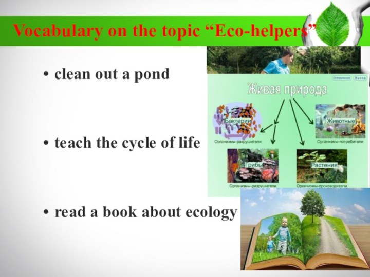 Vocabulary on the topic “Eco-helpers” clean out a pondteach the cycle of