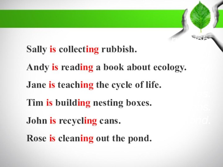 Sally is collecting rubbish. Andy is reading a book about ecology.