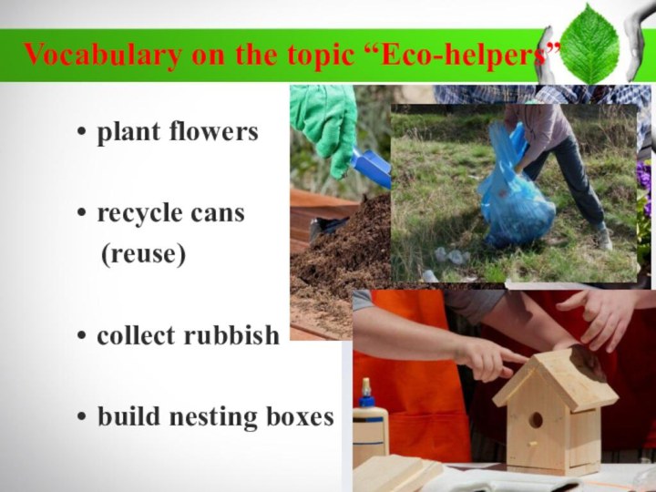 Vocabulary on the topic “Eco-helpers” plant flowers recycle cans  (reuse)collect rubbishbuild nesting boxes