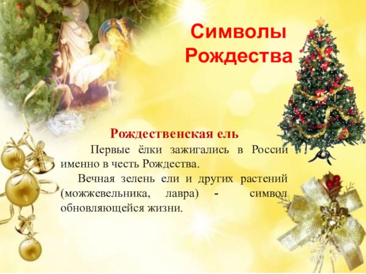 Рождественская ель   Первые ёлки зажигались в России именно в честь