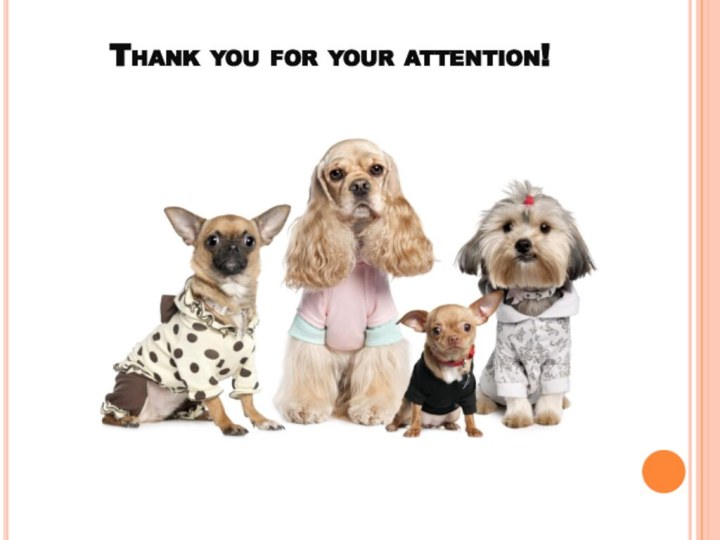 Thank you for your attention!