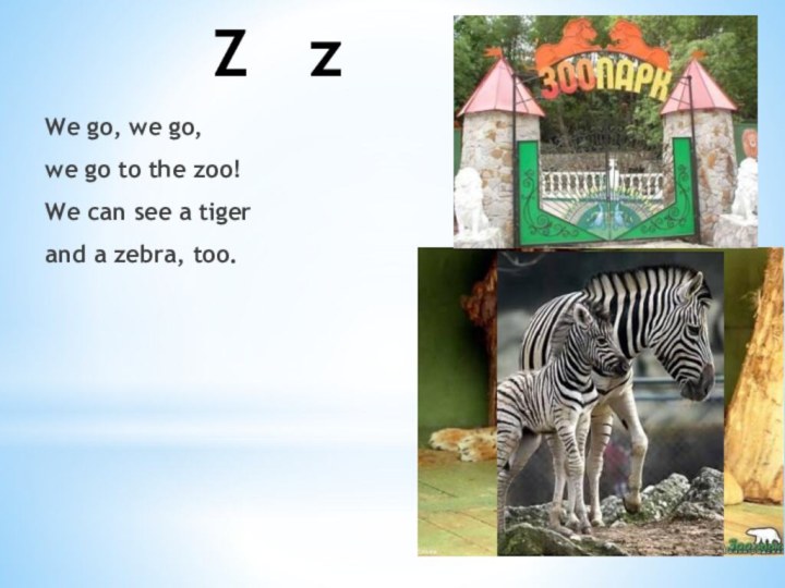 Z zWe go, we go, we go to the zoo!We can