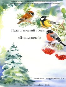 Педагогический проект Птицы зимой