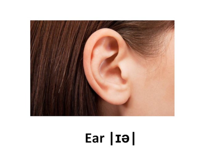 Ear |ɪə|