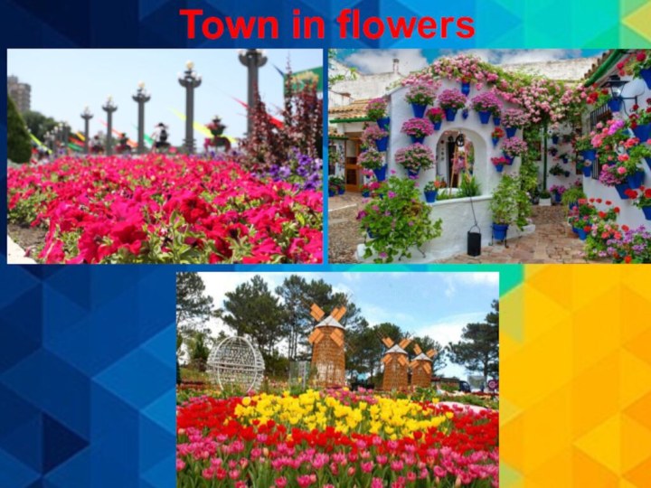 Town in flowers