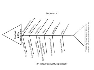 Презентация Графическое представление информации