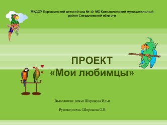 Интеллектуально-творческая игра Экоколобок  Проект Мои любимцы