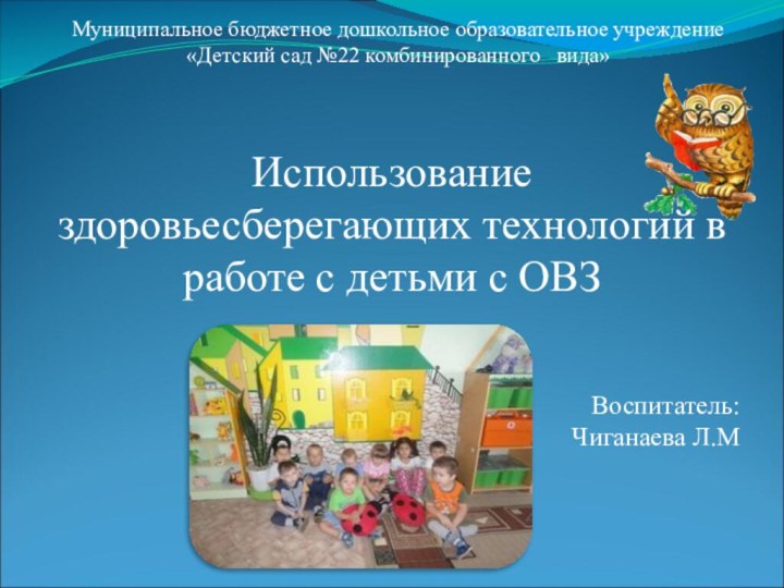 Муниципальное бюджетное дошкольное образовательное учреждение «Детский сад №22 комбинированного  вида» Использование