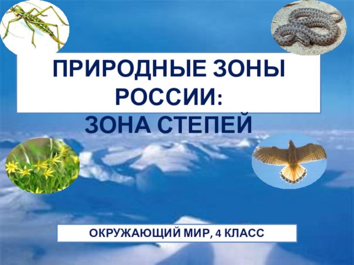 ПРИРОДНЫЕ ЗОНЫ РОССИИ:ЗОНА СТЕПЕЙОКРУЖАЮЩИЙ МИР, 4 КЛАСС