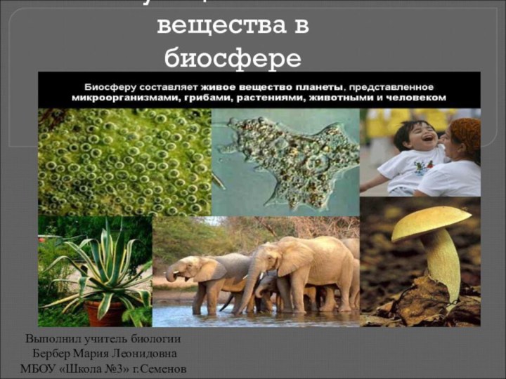 5 функции живого вещества биосферы. Функции живого вещества в биосфере картинки. Роль живого вещества в биосфере. Функции вещества биосферы. Функции живого вещества в биосфере.