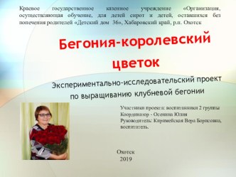 Экспериментально-исследовательский проект по выращиванию клубневой бегонии