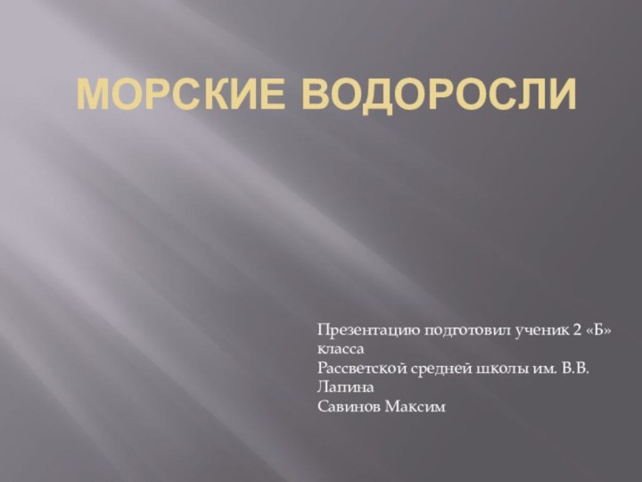 Морские водорослиПрезентацию подготовил ученик 2 «Б» классаРассветской средней школы им. В.В.Лапина Савинов Максим