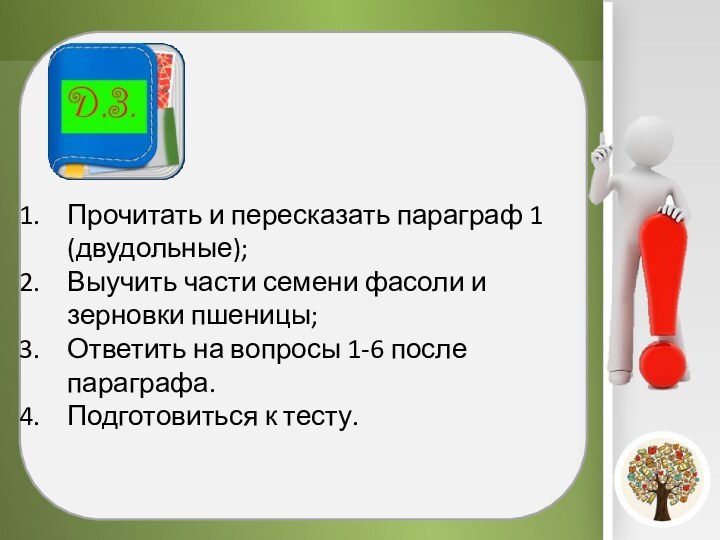 Прочитать и пересказать параграф 1 (двудольные);Выучить части семени фасоли и зерновки пшеницы;Ответить