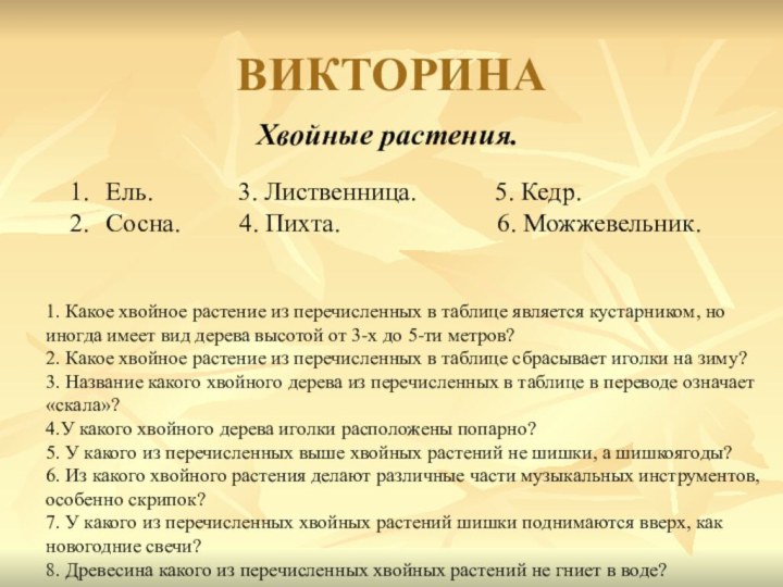 ВИКТОРИНА           Хвойные