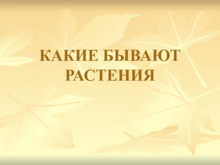 КАКИЕ БЫВАЮТ РАСТЕНИЯ